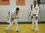 Ribeiro Self Defense 6 - Avoiding Common Mistakes